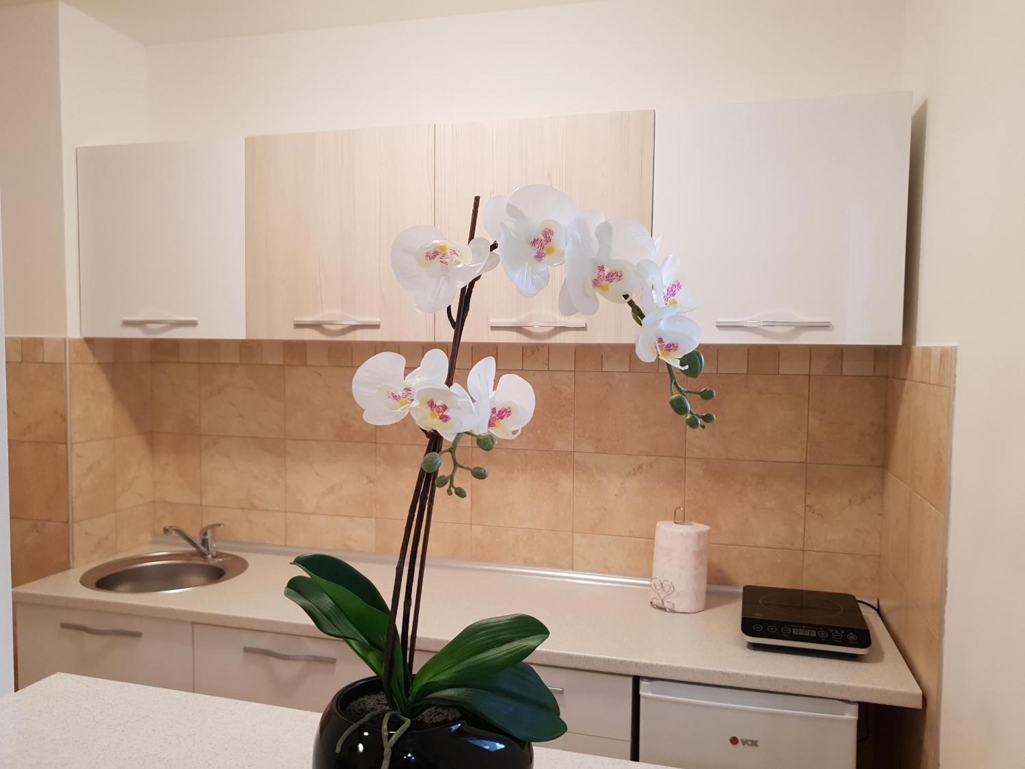 Apartman Kej Free Parking Kraljevo Luaran gambar
